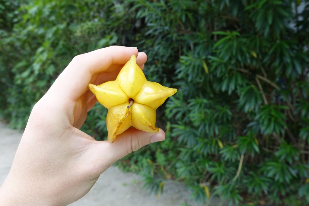 Picture of starfruit