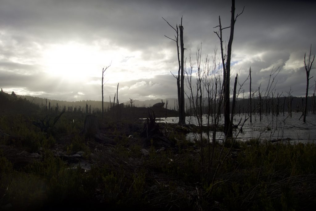 Picture of Lake Gordon