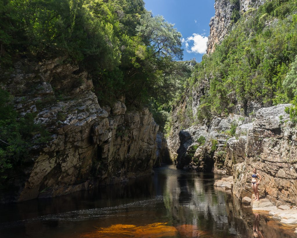 Irenabyss on the Franklin river